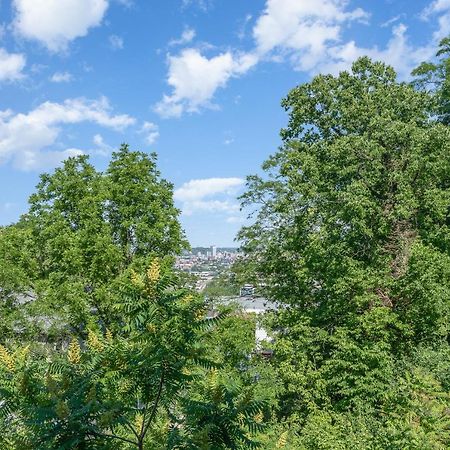 Amazing Downtown Views - 3 Minutes To Downtown! Lejlighed Cincinnati Eksteriør billede